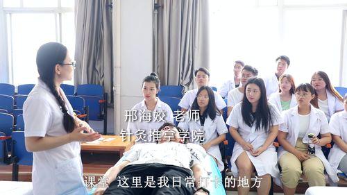 河北医生爆料视频最新版,揭露医疗乱象背后的真相